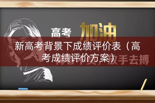 新高考背景下成绩评价表（高考成绩评价方案）