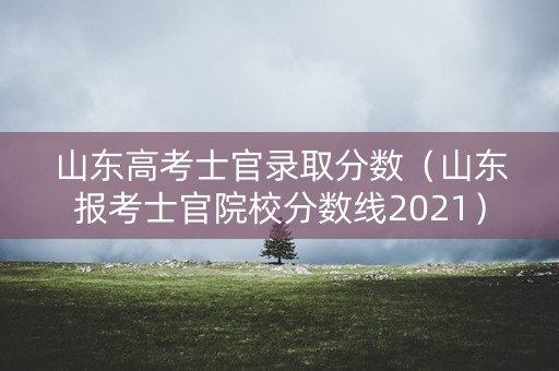 山东高考士官录取分数(山东报考士官院校分数线2021) 山东高考士官录取分数(山东报考士官院校分数线2021)
