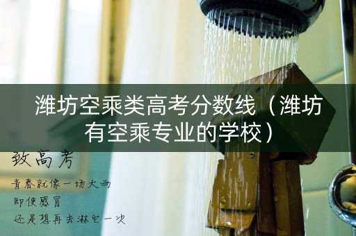 潍坊空乘类高考分数线(潍坊有空乘专业的学校) 潍坊空乘类高考分数线(潍坊有空乘专业的学校)