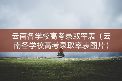 云南各学校高考录取率表(云南各学校高考录取率表图片) 云南各学校高考录取率表(云南各学校高考录取率表图片)