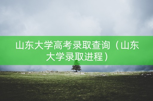 山东大学高考录取查询(山东大学录取进程) 山东大学高考录取查询(山东大学录取进程)