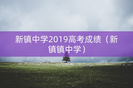 新镇中学2019高考成绩（新镇镇中学）