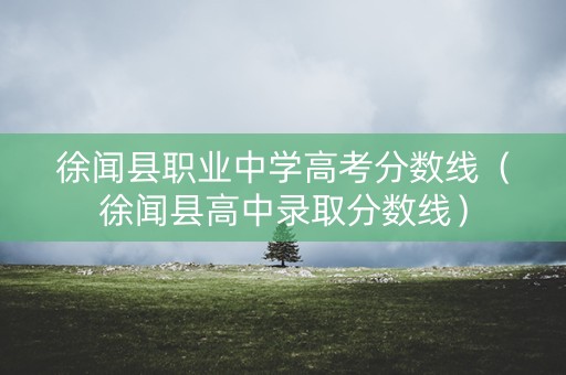 徐闻县职业中学高考分数线(徐闻县高中录取分数线) 徐闻县职业中学高考分数线(徐闻县高中录取分数线)