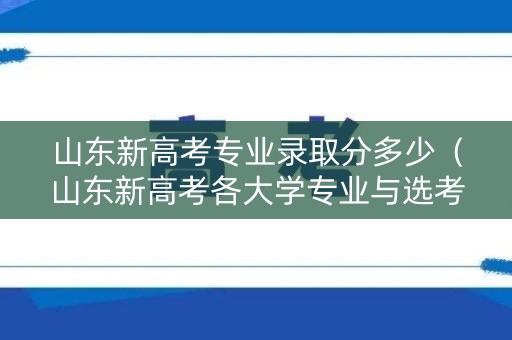 山东新高考专业录取分多少（山东新高考各大学专业与选考科目）