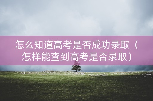 怎么知道高考是否成功录取(怎样能查到高考是否录取) 怎么知道高考是否成功录取(怎样能查到高考是否录取)