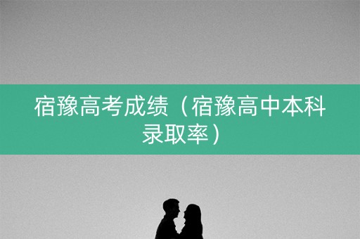 宿豫高考成绩（宿豫高中本科录取率）