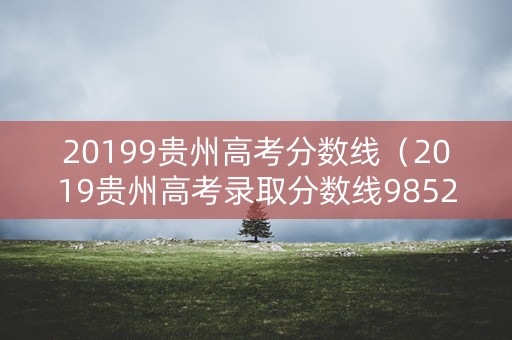 20199贵州高考分数线(2019贵州高考录取分数线985211) 20199贵州高考分数线(2019贵州高考录取分数线985211)