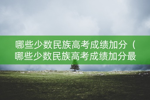 哪些少数民族高考成绩加分（哪些少数民族高考成绩加分最多）