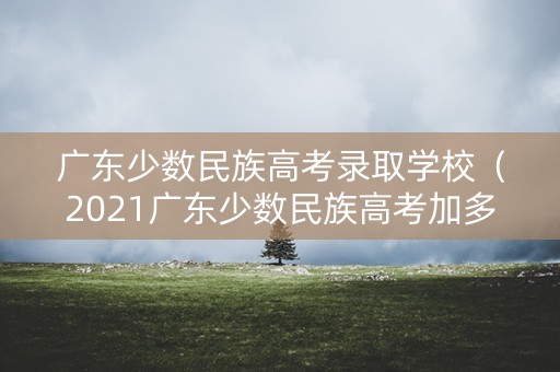 广东少数民族高考录取学校(2021广东少数民族高考加多少分) 广东少数民族高考录取学校(2021广东少数民族高考加多少分)