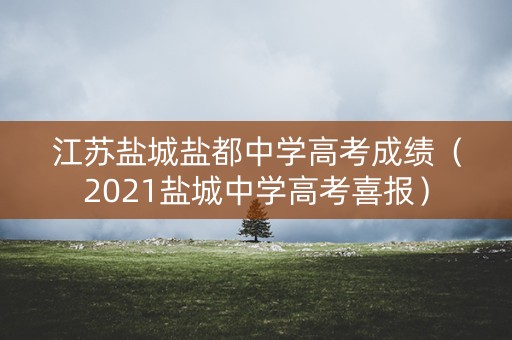 江苏盐城盐都中学高考成绩(2021盐城中学高考喜报) 江苏盐城盐都中学高考成绩(2021盐城中学高考喜报)