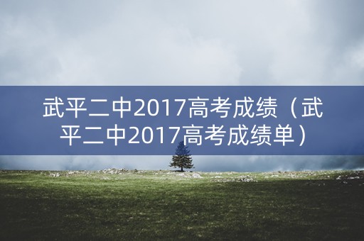 武平二中2017高考成绩(武平二中2017高考成绩单) 武平二中2017高考成绩(武平二中2017高考成绩单)