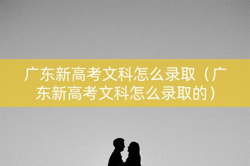 广东新高考文科怎么录取（广东新高考文科怎么录取的）
