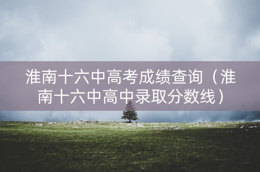 淮南十六中高考成绩查询(淮南十六中高中录取分数线) 淮南十六中高考成绩查询(淮南十六中高中录取分数线)
