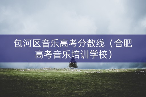 包河区音乐高考分数线(合肥高考音乐培训学校) 包河区音乐高考分数线(合肥高考音乐培训学校)