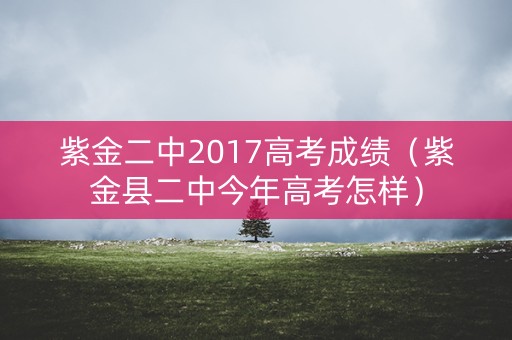 紫金二中2017高考成绩（紫金县二中今年高考怎样）