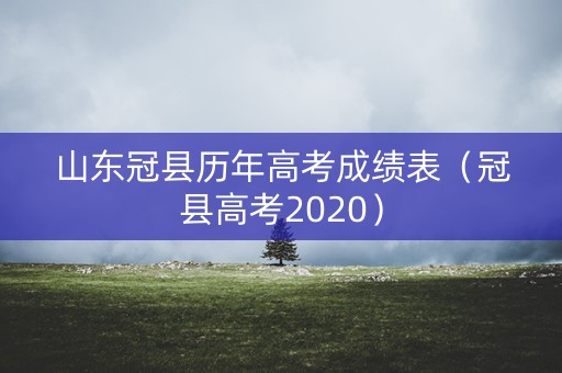山东冠县历年高考成绩表（冠县高考2020）