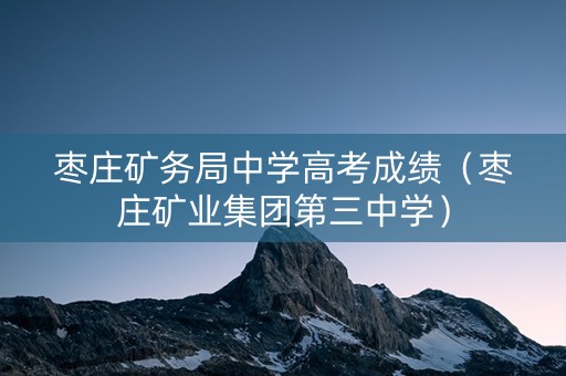 枣庄矿务局中学高考成绩（枣庄矿业集团第三中学）