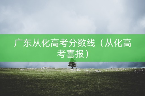 广东从化高考分数线（从化高考喜报）