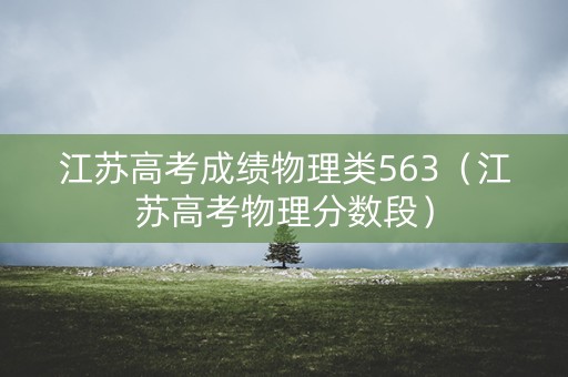 江苏高考成绩物理类563（江苏高考物理分数段）