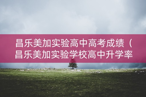 昌乐美加实验高中高考成绩（昌乐美加实验学校高中升学率）