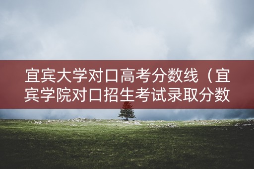 宜宾大学对口高考分数线(宜宾学院对口招生考试录取分数线) 宜宾大学对口高考分数线(宜宾学院对口招生考试录取分数线)