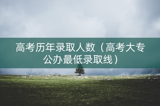 高考历年录取人数（高考大专公办最低录取线）