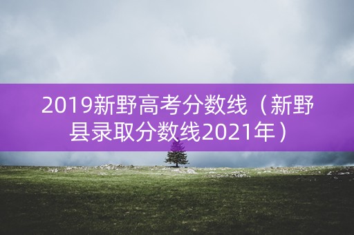2019新野高考分数线(新野县录取分数线2021年) 2019新野高考分数线(新野县录取分数线2021年)