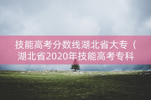 技能高考分数线湖北省大专(湖北省2020年技能高考专科分数线) 技能高考分数线湖北省大专(湖北省2020年技能高考专科分数线)