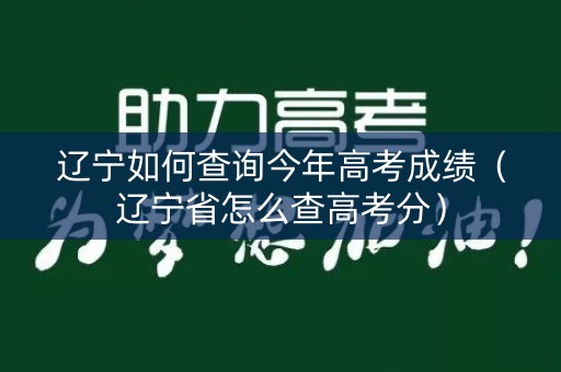 辽宁如何查询今年高考成绩(辽宁省怎么查高考分) 辽宁如何查询今年高考成绩(辽宁省怎么查高考分)