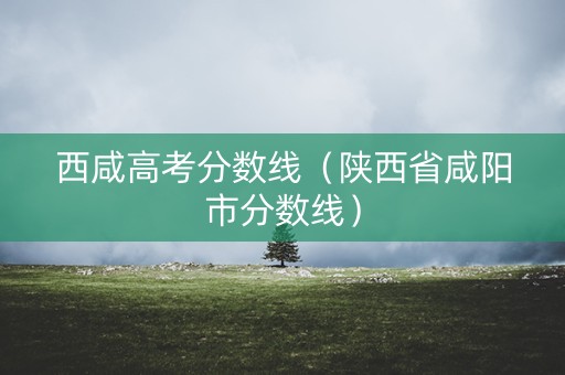 西咸高考分数线(陕西省咸阳市分数线) 西咸高考分数线(陕西省咸阳市分数线)