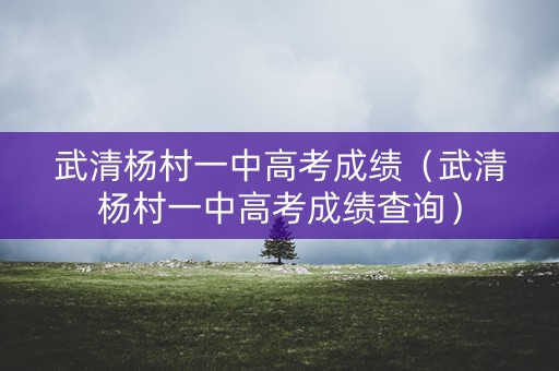 武清杨村一中高考成绩（武清杨村一中高考成绩查询）