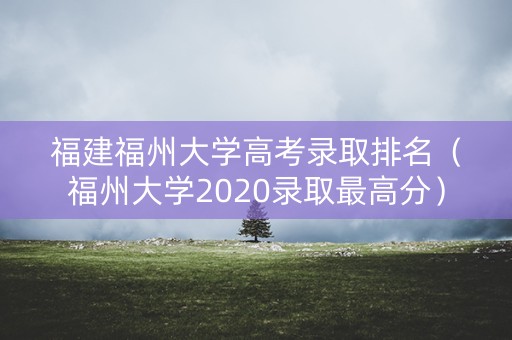 福建福州大学高考录取排名(福州大学2020录取最高分) 福建福州大学高考录取排名(福州大学2020录取最高分)