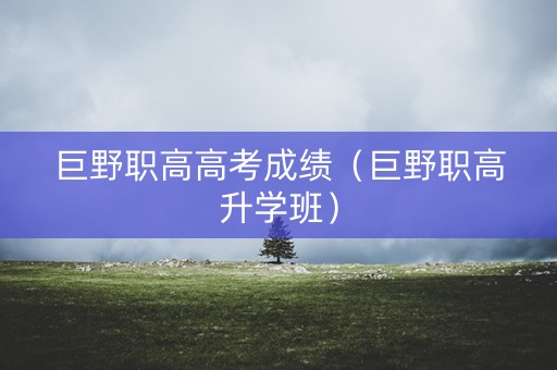 巨野职高高考成绩(巨野职高升学班) 巨野职高高考成绩(巨野职高升学班)