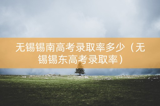 无锡锡南高考录取率多少（无锡锡东高考录取率）