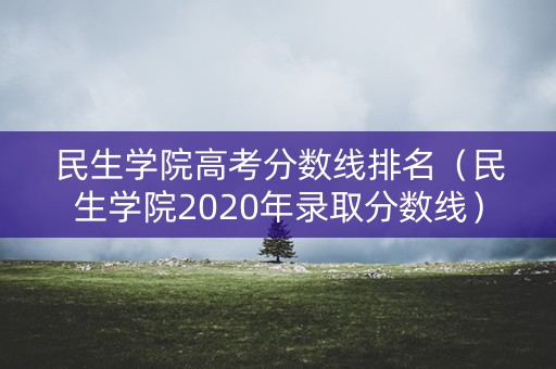 民生学院高考分数线排名（民生学院2020年录取分数线）