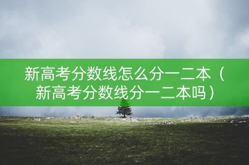 新高考分数线怎么分一二本(新高考分数线分一二本吗) 新高考分数线怎么分一二本(新高考分数线分一二本吗)