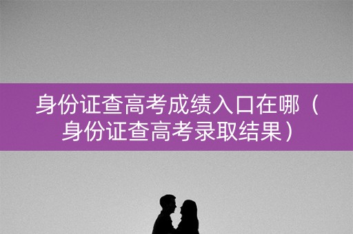 身份证查高考成绩入口在哪（身份证查高考录取结果）
