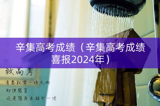 辛集高考成绩(辛集高考成绩喜报2024年) 辛集高考成绩(辛集高考成绩喜报2024年)