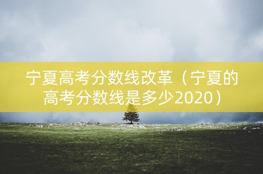 宁夏高考分数线改革（宁夏的高考分数线是多少2020）