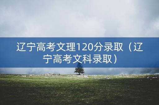 辽宁高考文理120分录取（辽宁高考文科录取）