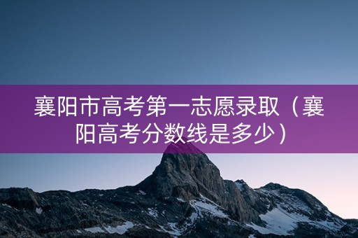 襄阳市高考第一志愿录取（襄阳高考分数线是多少）