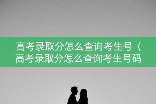 高考录取分怎么查询考生号（高考录取分怎么查询考生号码）