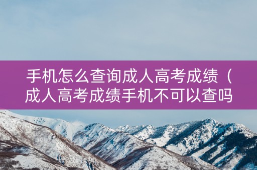 手机怎么查询成人高考成绩（成人高考成绩手机不可以查吗）