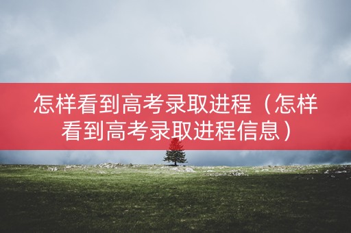 怎样看到高考录取进程（怎样看到高考录取进程信息）