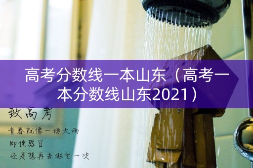高考分数线一本山东（高考一本分数线山东2021）