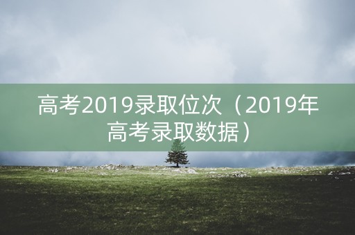 高考2019录取位次（2019年高考录取数据）