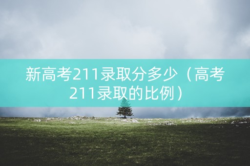 新高考211录取分多少（高考211录取的比例）