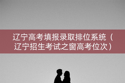 辽宁高考填报录取排位系统（辽宁招生考试之窗高考位次）