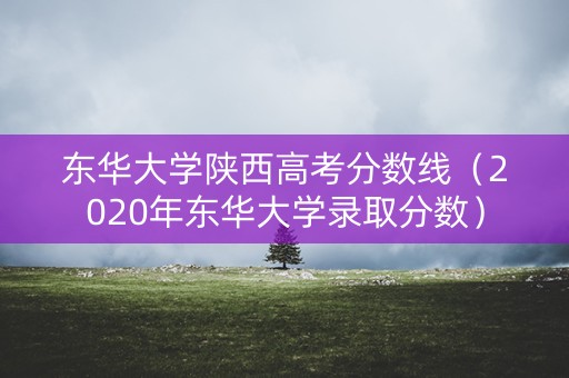东华大学陕西高考分数线（2020年东华大学录取分数）