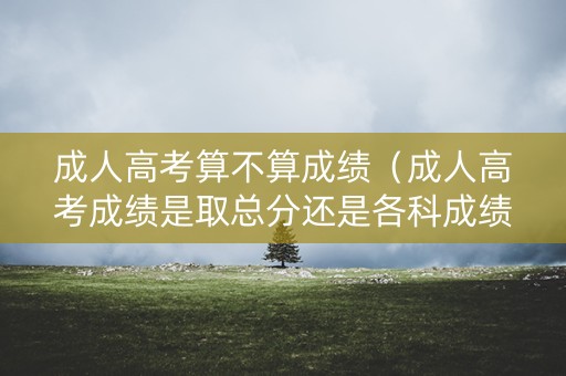 成人高考算不算成绩（成人高考成绩是取总分还是各科成绩总和）